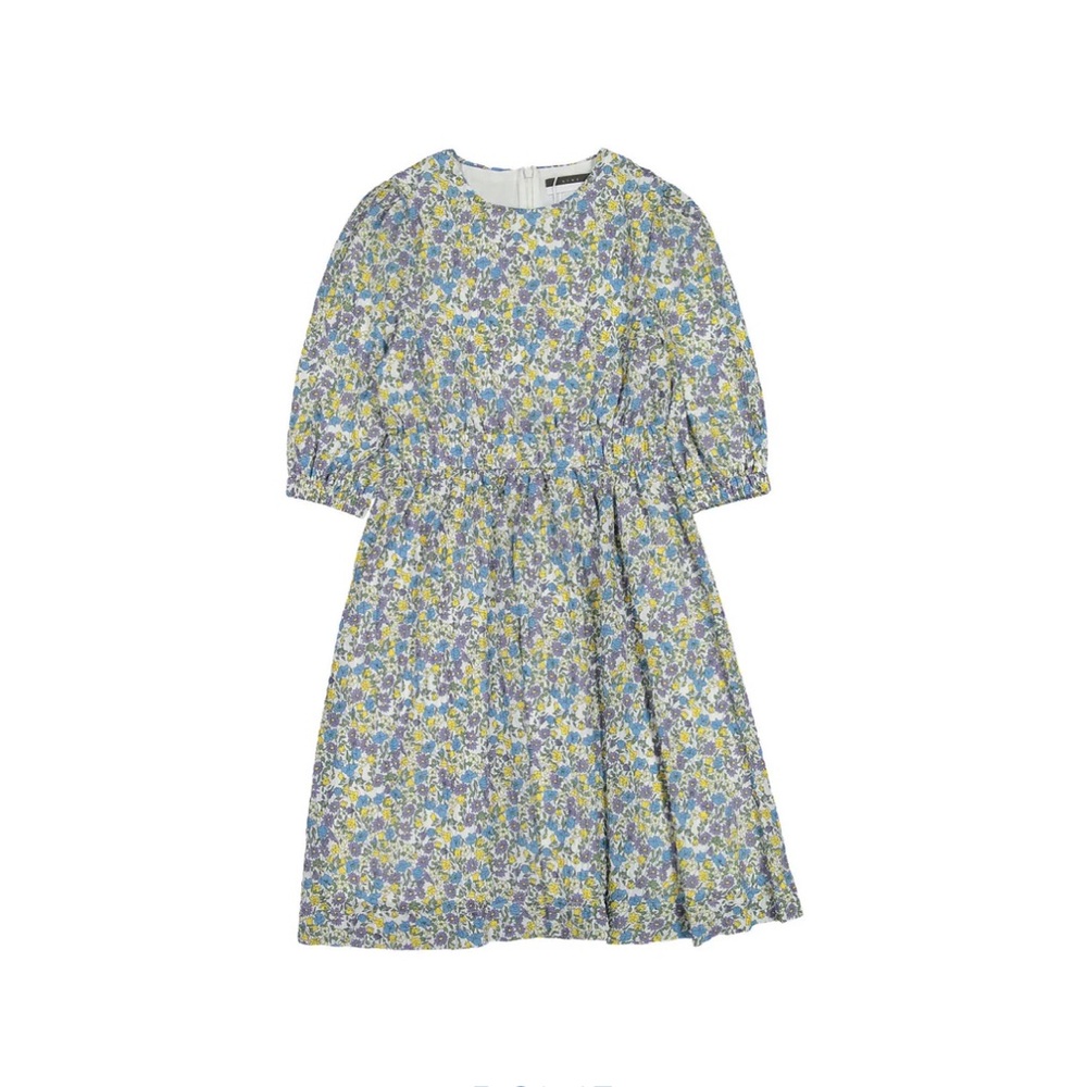 ROWE Blue Small Floral Dress